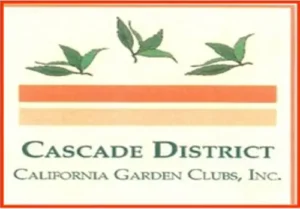 Cascade District